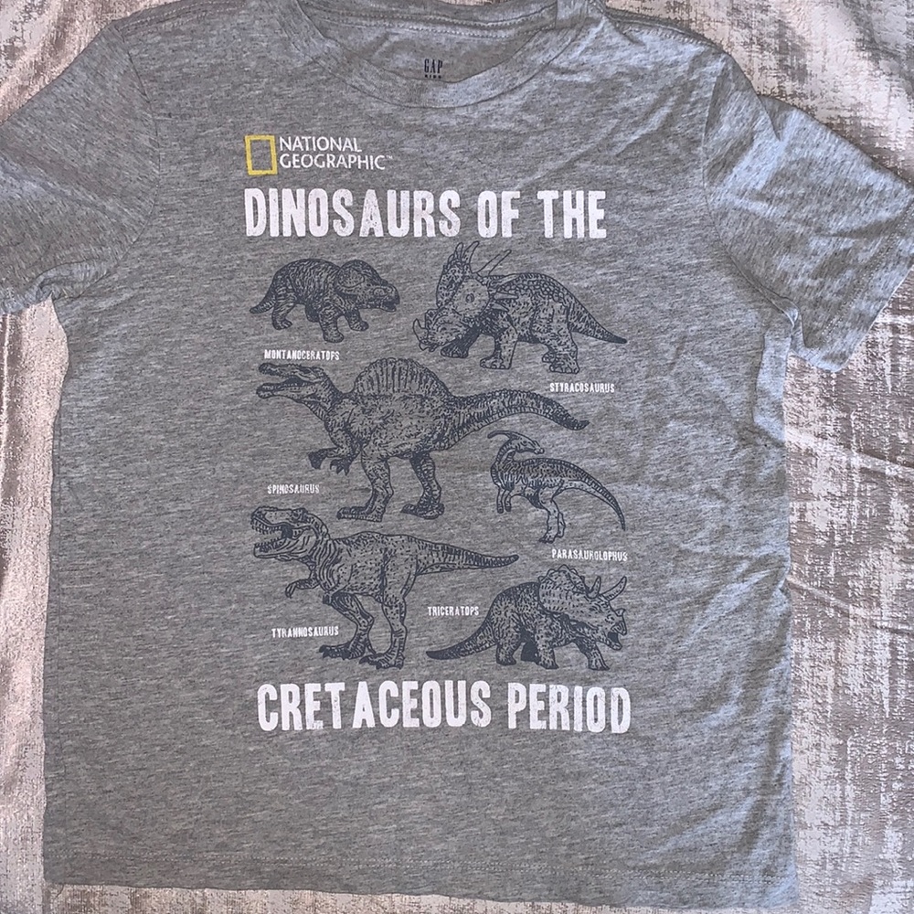 Kid’s Gap Kids dino shirt. Size 5